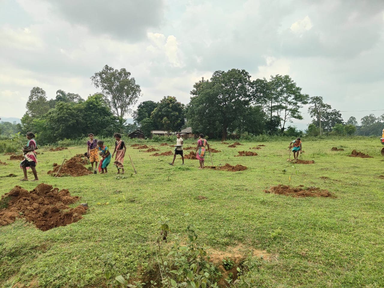 Community members preparing land for large-scale agroforestry plantation